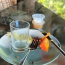 동그란 멍멍이 | 2025.10/31-11/7 Hawaii -4