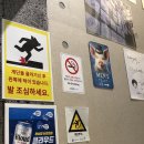 삼다돈 | [합정맛집] 제주 1등급 돼지고기 단체 회식 제주삼다돈