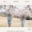 살롱드레터 | 예쁘고 만들기 쉬운 모바일 청첩장 살롱드레터 추천! (내돈내산, 커스터마이징 후기)