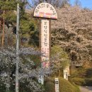 박터진 흥부네 이미지