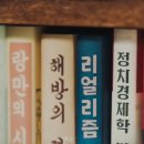 하이월
