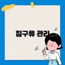 올바른세탁 이미지