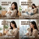 내장축산 이미지