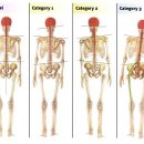 피트니언스 이미지