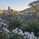 천년숲서로(서) 이미지