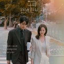 드라마 나의 완벽한 비서 후기 / 헤드헌터 드라마 멜로 한지민, 이준혁 주연 추천