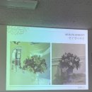 [화훼장식기능사] 1회차 : 꽃꽂이 반구형 (코프디자인 플로리스트 학원/국비지원)