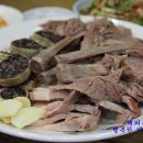 7전8기 8번식당 이미지