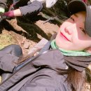 흥지 이미지
