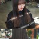 아리아스헤어 이미지