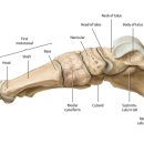 바라다짐 이미지
