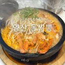 복주머니만두 | 양산 호포 맛집 불향나는 통오징어 돌짬뽕, 복주머니 만두 맛집 후기