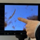 전주동신초등학교 | 압출부터 피부관리는, 전주 올가드림뷰티 우아점