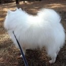 복길