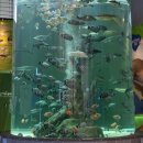 간전중앙로 이미지