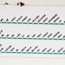 남곡4리 이미지