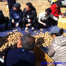 최정석농장 이미지