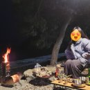 나로힐링캠핑장 티스토리