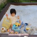 양양 스테이나무 이미지