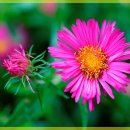 자연과한의원 수원 이미지