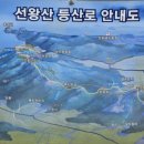 모드니여행사 - 고양시 일산동구 고봉로770번길 5 | 모드니여행사