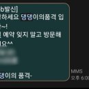 댕댕이의 품격 이미지