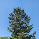 상석목장 이미지