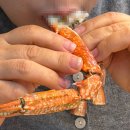 샤브향(송내점) 이미지