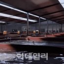 에이디수산