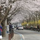 용당세월교 이미지