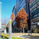 신흥로276번길 이미지