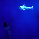 까스띠요 이미지