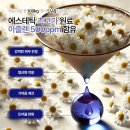 리그 속 루시마마! 부산아이파크 홈경기에서 만난 특별한 하루