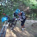 고비고개로 이미지