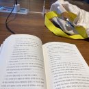 서대문구 홍제동 스터디카페 어반트리 독서실 이용 후기