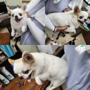 소소리 마을회관 이미지