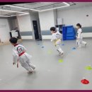 월드태권도 예절관 이미지