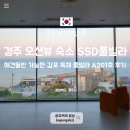 모모몽 애견까페 | 경주 독채 풀빌라 SSD풀빌라 A201호 후기 애견동반 가능한 감포 오션뷰 숙소