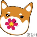 효심청 이미지