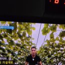 1박2일시즌4 본방사수영^^ 이미지