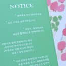 양지까멜리아 | 제주가볼만한곳 동백포레스트 입장료 주차 소요시간 만개시기 총정리