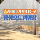 장항오토캠핑장 이미지