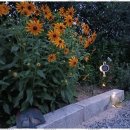 포천 민박 이미지