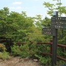 국립산림치유원 이미지