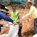 한국승강기안전공단 이미지
