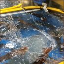 유성상회 이미지