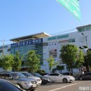 대구매트리스할인매장 &#34;매트리스마켓 텍스빌점&#34; 종류가 엄청난 수입매트리스
