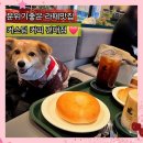 능동로 | 커스텀커피 건대점 버터크림라떼 당근케이크 베이글 소금빵 애견동반 내돈내산 후기