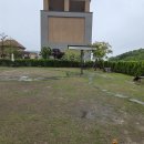 펫아울렛 이미지