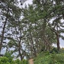 대왕별 아이누리 화장실 이미지